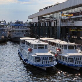 ������. ������ ����.