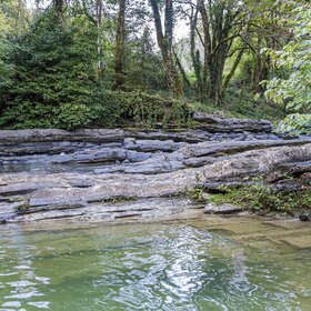 ���� ����� (������)