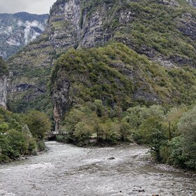 ������� ���� ���