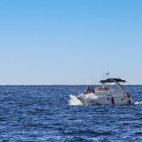 �������� �� ������� ����