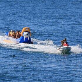 ������ ���������� �����