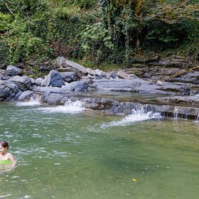 ���� �����