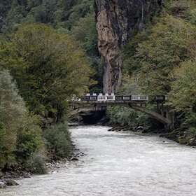 �������, ���� ����� ���� �����