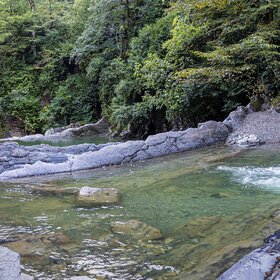 ����, ���� �����